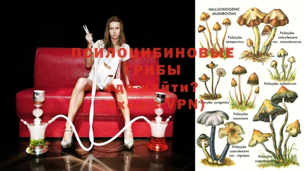 spice Навашино